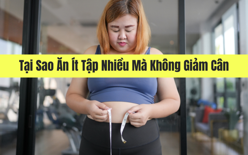 Tai Sao An It Tap Nhieu Ma Khong Giam Can